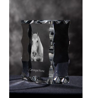 Cheval Camargue - Kristall mit einem Pferdebild, Glasstatuette mit einem Bild, einzigartiger Bilderrahmen der Marke Art-Dog