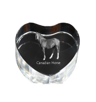 Canadian Horse - a photo of a horse in crystal, a crystal heart, a unique frame with a photo from the Art-Dog brand