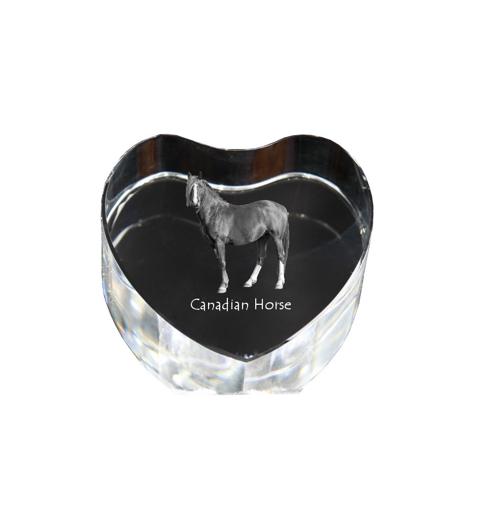Koń kanadyjski serce kryształowe z koniem Art-Dog