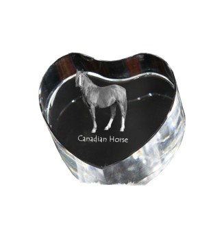 Cheval canadien - une photo de cheval dans un cristal, un cœur en cristal, un cadre exceptionnel avec une photo de la marque Art-Dog