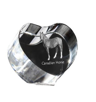 Cheval canadien - une photo de cheval dans un cristal, un cœur en cristal, un cadre exceptionnel avec une photo de la marque Art-Dog