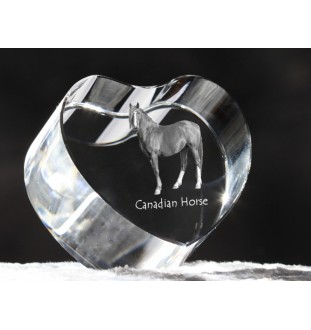 Cheval canadien - une photo de cheval dans un cristal, un cœur en cristal, un cadre exceptionnel avec une photo de la marque Art-Dog