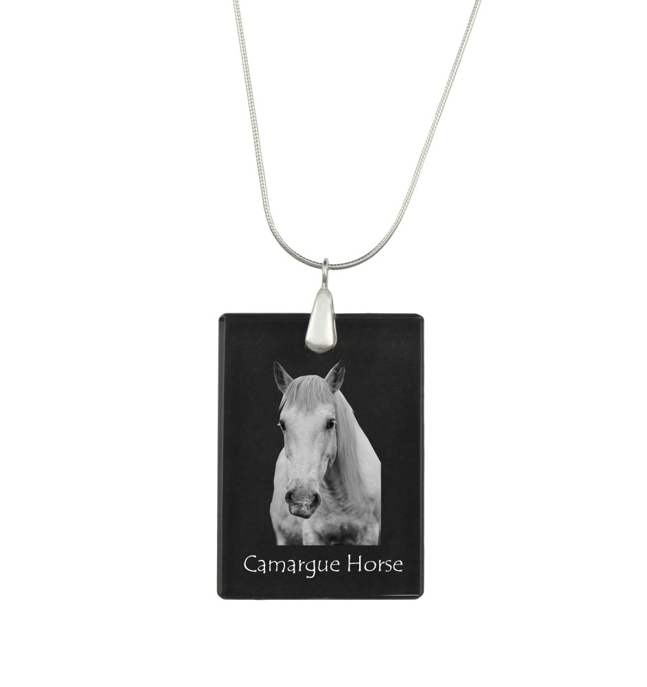 Camargue-Pferd - Crystal pendant with horse, silver necklace with photo, personalised pendant by Art-Dog brand