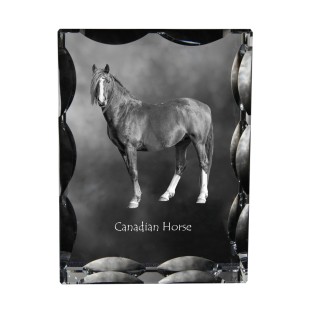 Canadian Horse - kryształ ze zdjęciem konia, szklana statuetka ze zdjęciem, wyjątkowa ramka ze zdjęciem marki Art-Dog