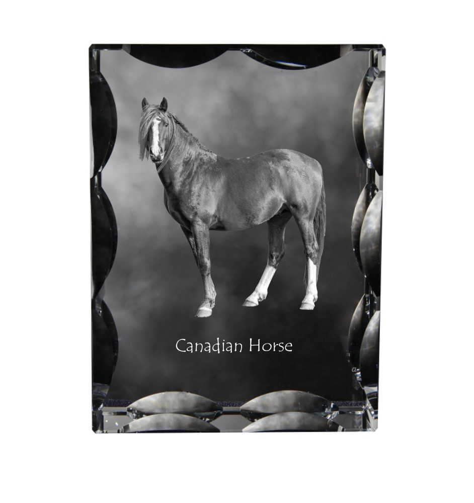 Cheval canadien - Kristall mit einem Pferdebild, Glasstatuette mit einem Bild, einzigartiger Bilderrahmen der Marke Art-Dog