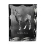 Kanadisches Pferd - crystal with a picture of a horse, glass statuette with a picture, unique frame with a picture from Art-Dog brand