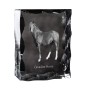 Kanadisches Pferd - crystal with a picture of a horse, glass statuette with a picture, unique frame with a picture from Art-Dog brand