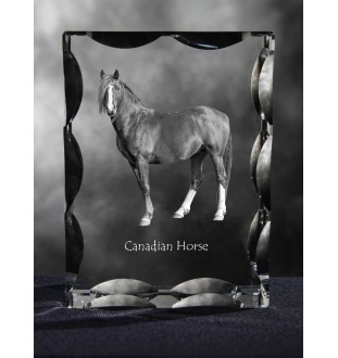 Cheval canadien - Kristall mit einem Pferdebild, Glasstatuette mit einem Bild, einzigartiger Bilderrahmen der Marke Art-Dog