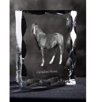 Kanadisches Pferd - crystal with a picture of a horse, glass statuette with a picture, unique frame with a picture from Art-Dog brand