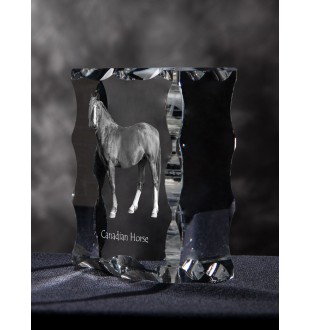 Canadian Horse - kryształ ze zdjęciem konia, szklana statuetka ze zdjęciem, wyjątkowa ramka ze zdjęciem marki Art-Dog