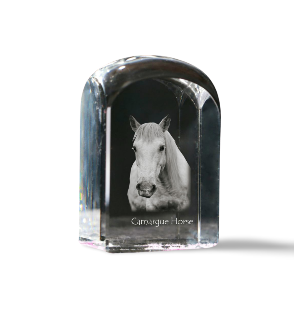 Cheval Camargue - un cube de cristal avec une photo, une photo de cheval dans le cristal, un presse-papiers cubique de la marque Art-Dog