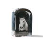 Camargue Horse - crystal cube with a photo, photo of a horse in crystal, cubic paperweight from Art-Dog brand