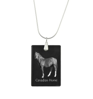 Cheval canadien - Crystal pendant with horse, silver necklace with photo, personalised pendant by Art-Dog brand