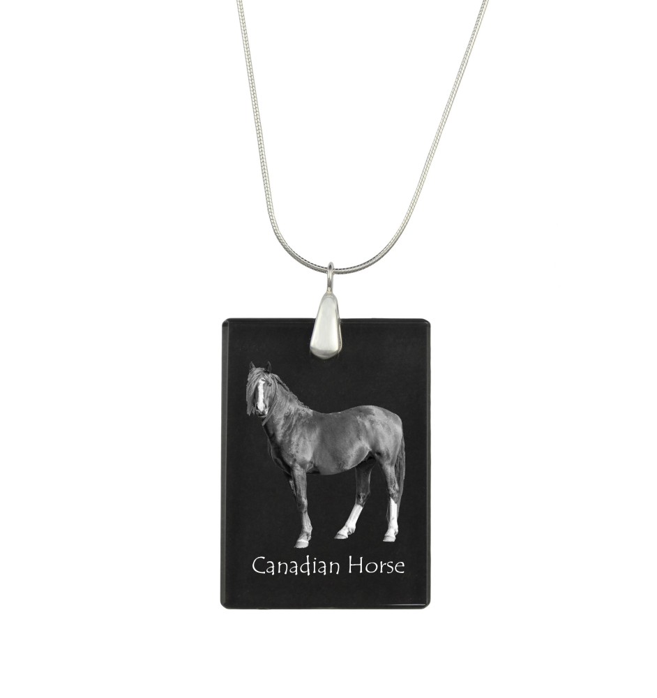 Cheval canadien - Crystal pendant with horse, silver necklace with photo, personalised pendant by Art-Dog brand