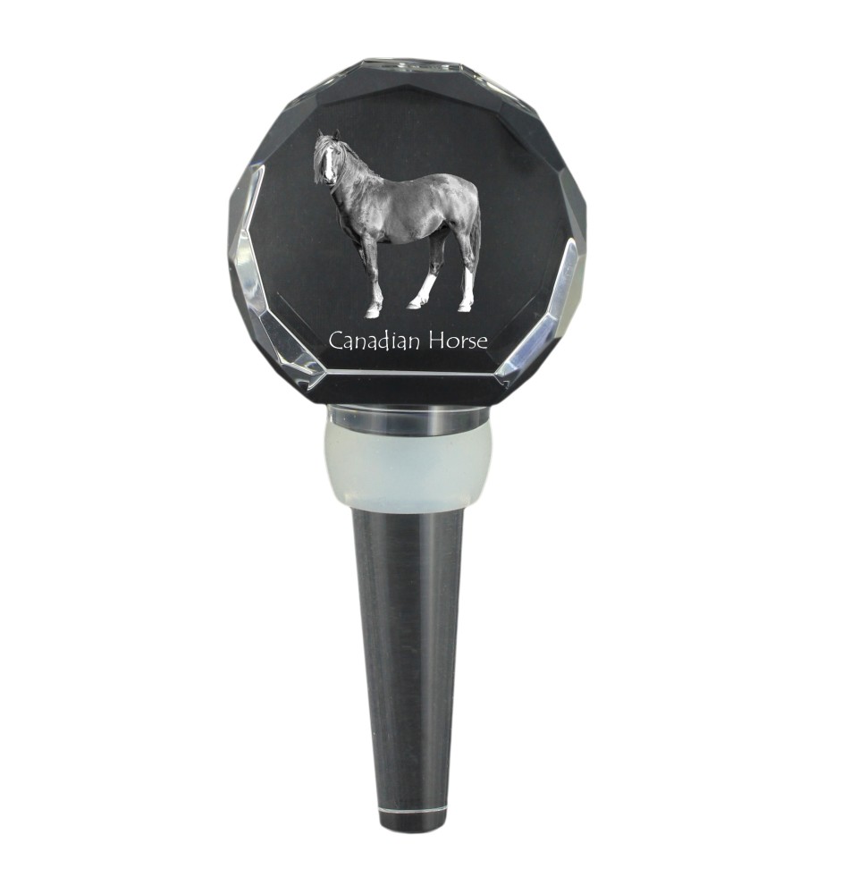 Canadian Horse - Crystal bottle stopper with horse, unique wine stopper with photo, personalised gift for sommelier by Art-Dog brand