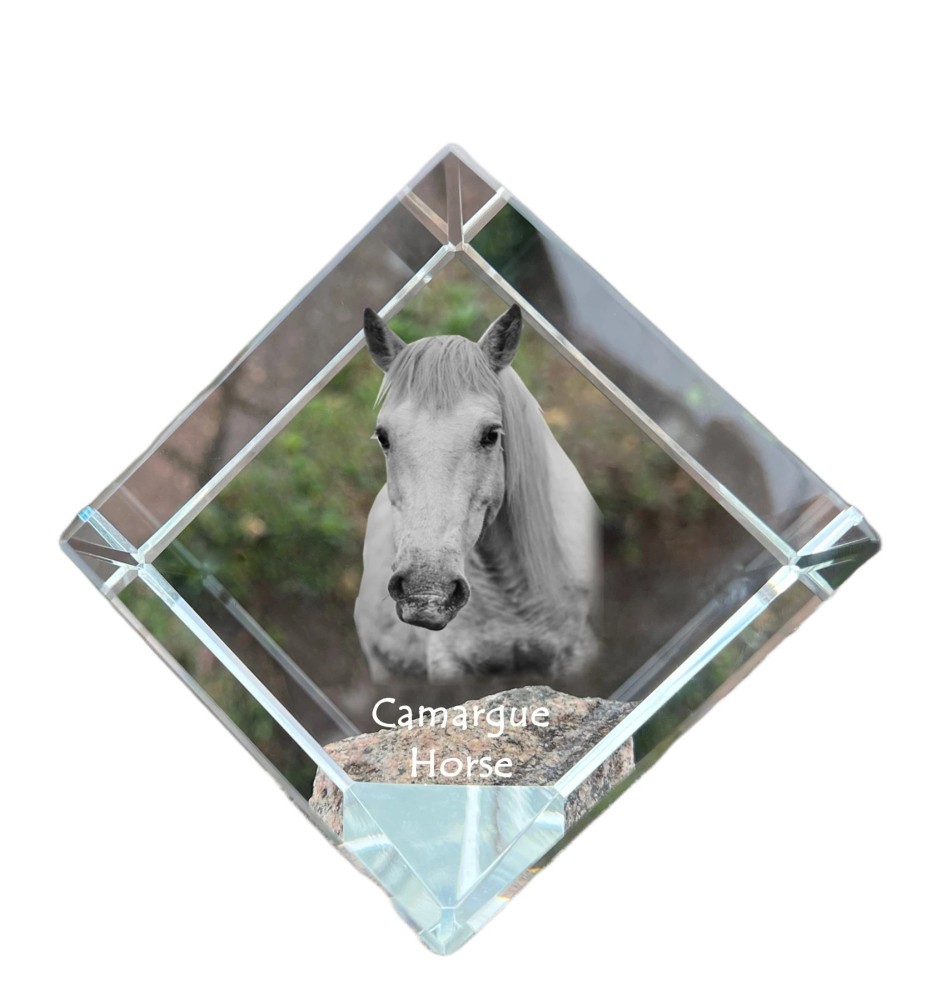 Cheval Camargue - un cube de cristal avec une photo de cheval, une photo de cheval dans le cristal, un presse-papiers cubique de la marque Art-Dog