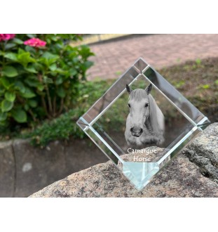 Cheval Camargue - un cube de cristal avec une photo de cheval, une photo de cheval dans le cristal, un presse-papiers cubique de la marque Art-Dog