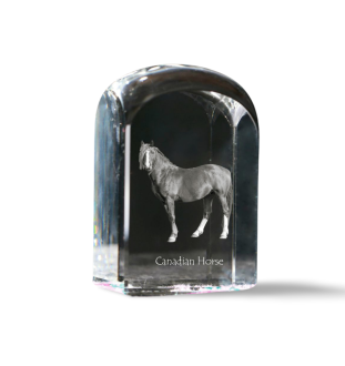 Canadian Horse - crystal cube with a photo, photo of a horse in crystal, cubic paperweight from Art-Dog brand