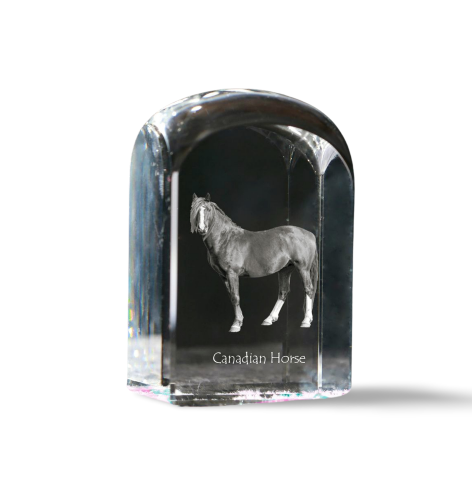 Cheval canadien - un cube de cristal avec une photo, une photo de cheval dans le cristal, un presse-papiers cubique de la marque Art-Dog