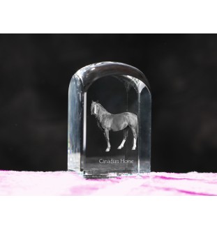 Canadian Horse - crystal cube with a photo, photo of a horse in crystal, cubic paperweight from Art-Dog brand