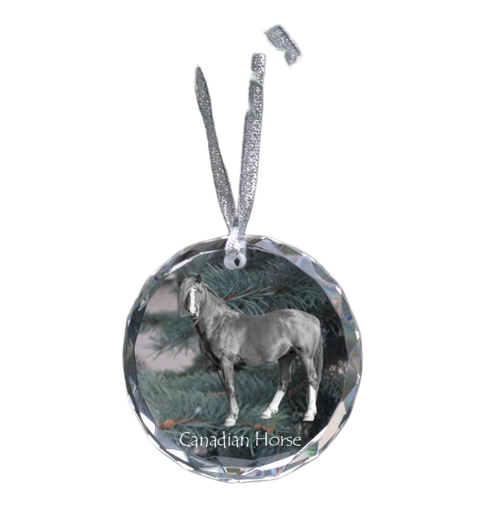 Canadian Horse - crystal bauble with a photo, horse photo in crystal, personalized Christmas tree ornament by Art-Dog brand