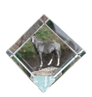 Canadian Horse - crystal cube with a horse picture, horse picture in crystal, cubic paperweight from Art-Dog brand
