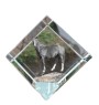 Kanadisches Pferd - Kristallwürfel mit Pferdebild, Pferdebild im Kristall, sechseckiger Papierclip der Marke Art-Dog