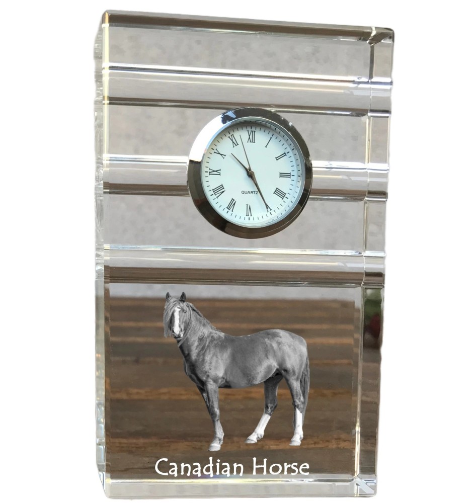 Cheval canadien - horloge en verre avec photo, photo de cheval dans un cristal, horloge de bureau personnalisée de la marque Art-Dog