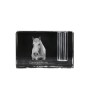 Camargue Horse - Pen stand, crystal organiser with picture of a horse, unique desk decoration by Art-Dog brand