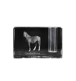 Cheval canadien - Porte-stylos, organiseur en cristal avec image d'un cheval, décoration de bureau unique par la marque Art-Dog
