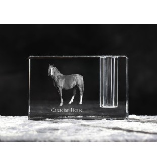 Cheval canadien - Porte-stylos, organiseur en cristal avec image d'un cheval, décoration de bureau unique par la marque Art-Dog