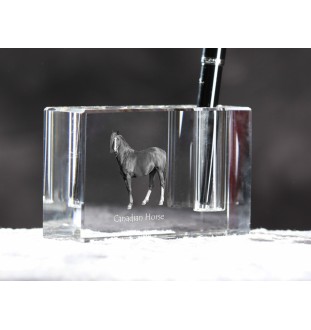 Cheval canadien - Porte-stylos, organiseur en cristal avec image d'un cheval, décoration de bureau unique par la marque Art-Dog