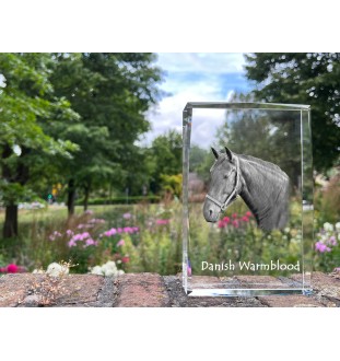 Warmblood danois - cristal avec une photo de cheval, photo sous verre, exposition moderne de la marque de photos Art-Dog