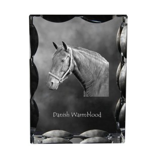 Dänisches Warmblut - crystal with a picture of a horse, glass statuette with a picture, unique frame with a picture from Art-Dog brand