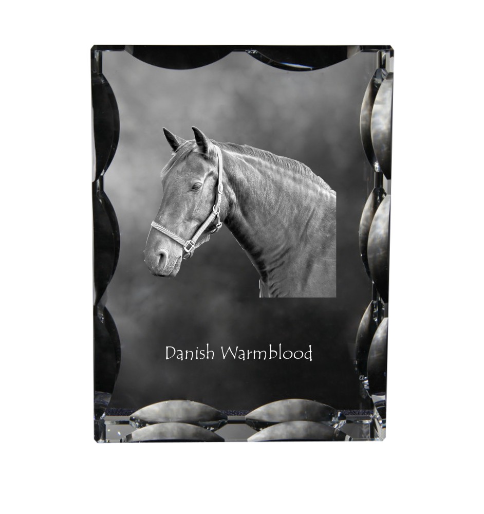 Warmblood danois - Kristall mit einem Pferdebild, Glasstatuette mit einem Bild, einzigartiger Bilderrahmen der Marke Art-Dog
