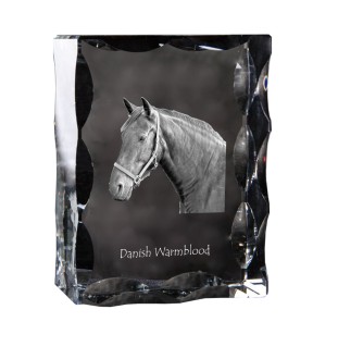 Dänisches Warmblut - crystal with a picture of a horse, glass statuette with a picture, unique frame with a picture from Art-Dog brand