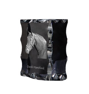 Warmblood danois - Kristall mit einem Pferdebild, Glasstatuette mit einem Bild, einzigartiger Bilderrahmen der Marke Art-Dog