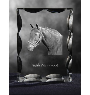 Dänisches Warmblut - crystal with a picture of a horse, glass statuette with a picture, unique frame with a picture from Art-Dog brand