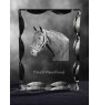 Dänisches Warmblut - crystal with a picture of a horse, glass statuette with a picture, unique frame with a picture from Art-Dog brand