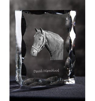 Danish Warmblood - kryształ ze zdjęciem konia, szklana statuetka ze zdjęciem, wyjątkowa ramka ze zdjęciem marki Art-Dog