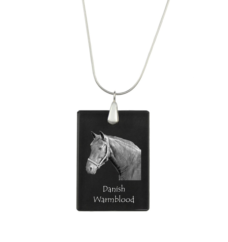 Warmblood danois - Crystal pendant with horse, silver necklace with photo, personalised pendant by Art-Dog brand