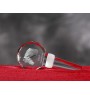 Danish Warmblood - Crystal bottle stopper with horse, unique wine stopper with photo, personalised gift for sommelier by Art-Dog brand