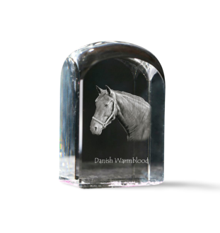 Dänisches Warmblut - Kristallwürfel mit Bild, Pferdebild im Kristall, sechseckiger Papierclip der Marke Art-Dog