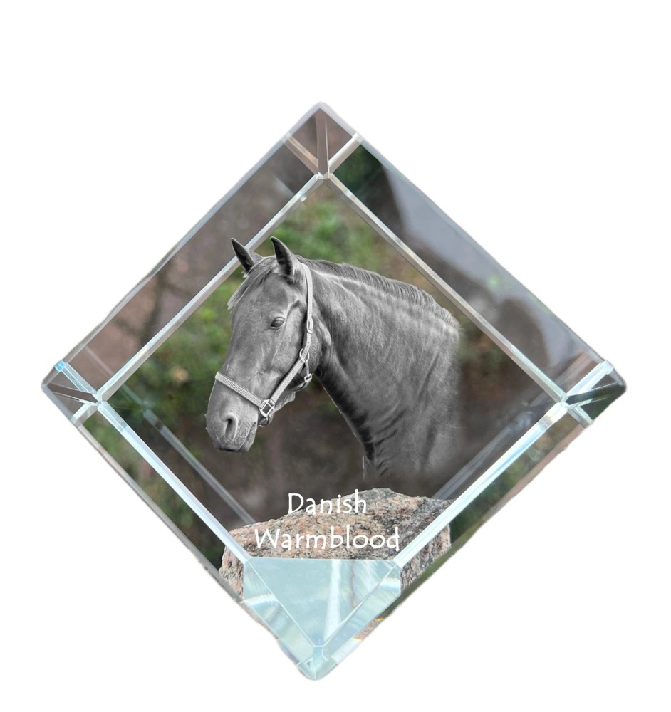 Danish Warmblood - crystal cube with a horse picture, horse picture in crystal, cubic paperweight from Art-Dog brand