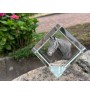 Danish Warmblood - crystal cube with a horse picture, horse picture in crystal, cubic paperweight from Art-Dog brand