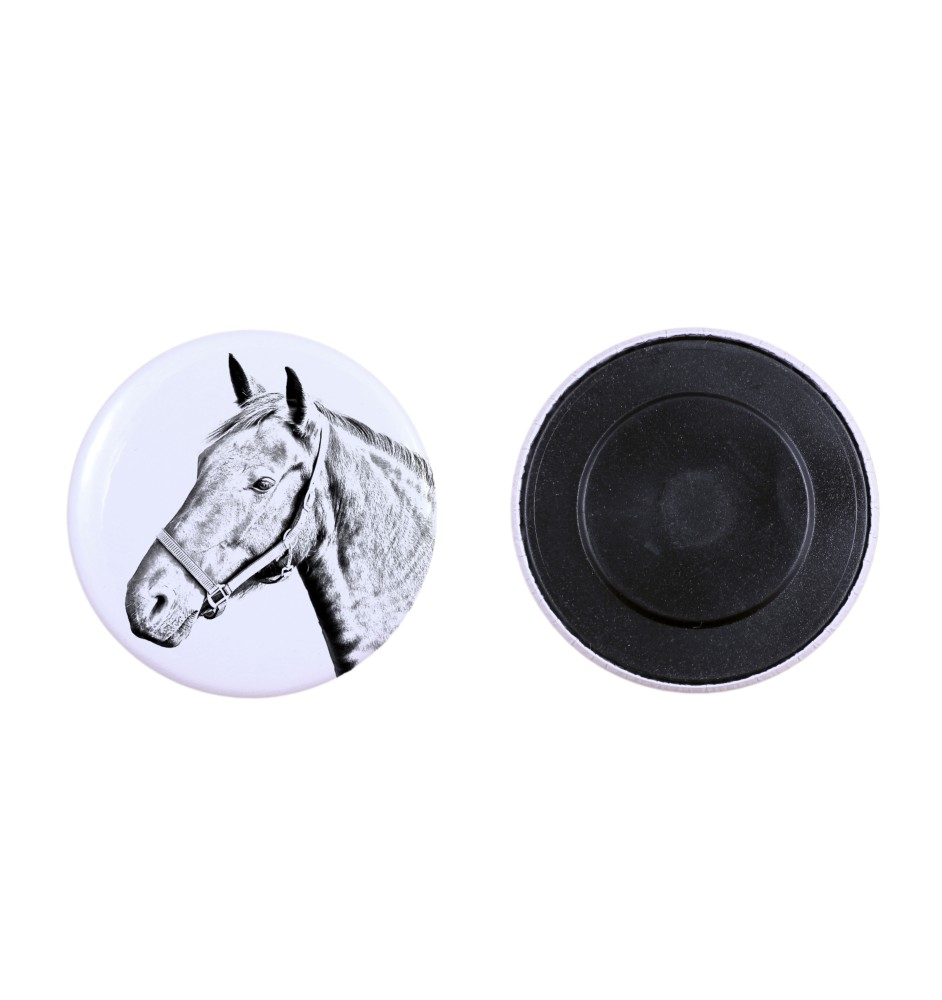 Danish Warmblood - magnet with a horse, a unique imprint of the Art-Dog horse brand