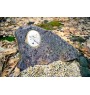 Cheval Fjord - une plaque commémorative avec une photo de cheval, une plaque funéraire avec une impression, une plaque ovale personnalisée de la marque Art-Dog