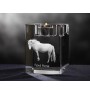 Fjord Horse - Candle holder with picture of a horse, crystal tealight holder, personalised gift by Art-Dog brand