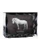 Fjordpferd - crystal with a picture of a horse, glass statuette with a picture, unique frame with a picture from Art-Dog brand