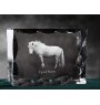 Fjordpferd - crystal with a picture of a horse, glass statuette with a picture, unique frame with a picture from Art-Dog brand